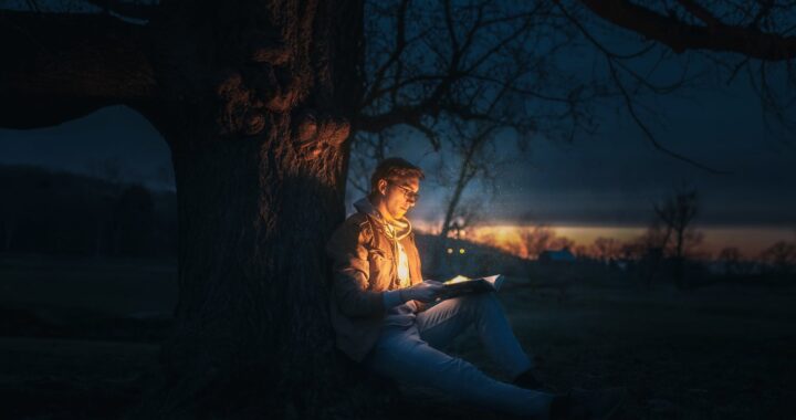 man sitting under a tree reading a book during night time