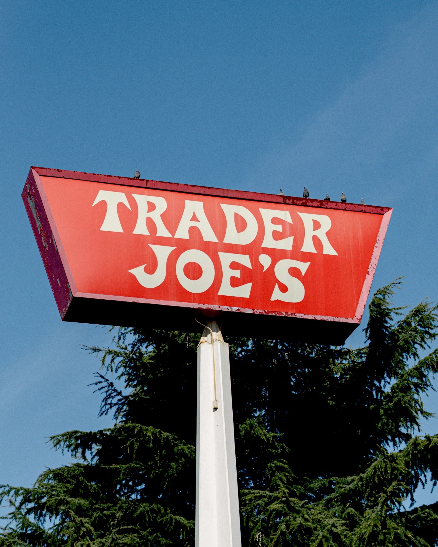 Insegna stradale vintage di Trader Joe's contro il cielo azzurro, icona del fenomeno virale delle tote bag nei viaggi
